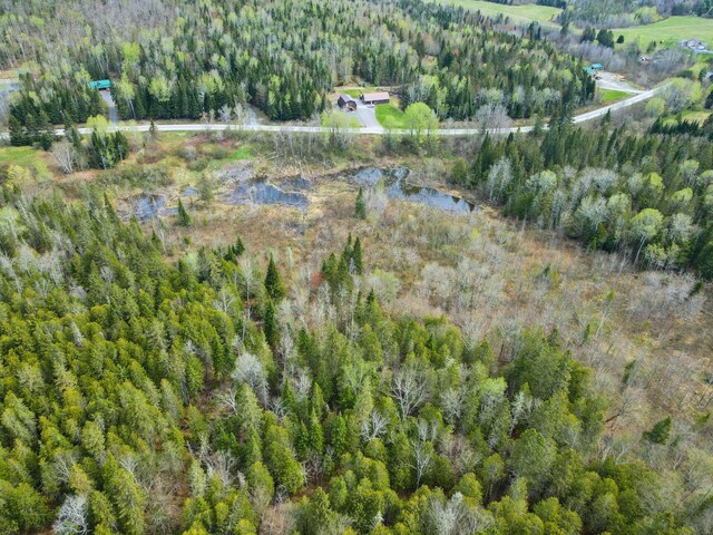 500 Violette Settlement Rd, Fort Kent, ME 04743 - photo 6