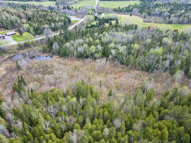500 Violette Settlement Rd, Fort Kent, ME 04743 - photo 8