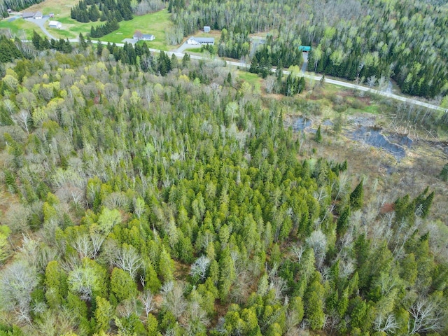 500 Violette Settlement Rd, Fort Kent, ME 04743 - photo 9