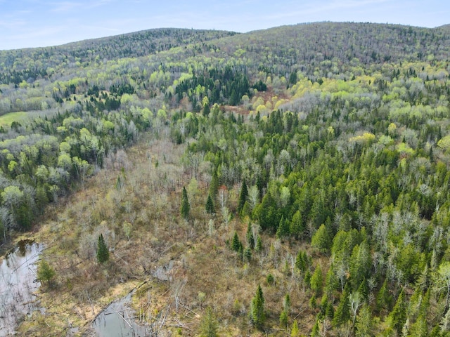 500 Violette Settlement Rd, Fort Kent, ME 04743 - photo 12