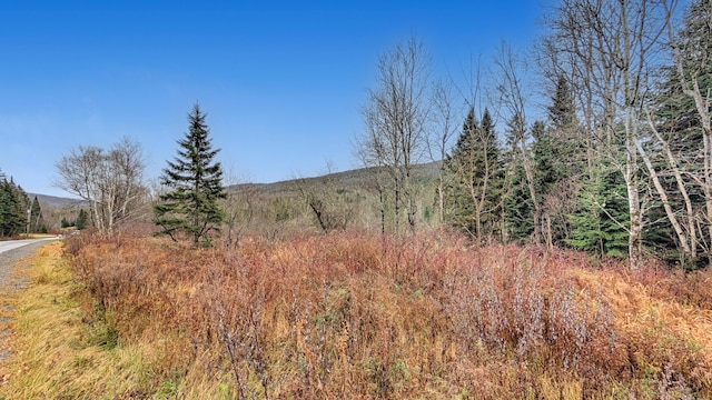 500 Violette Settlement Rd, Fort Kent, ME 04743 - photo 13