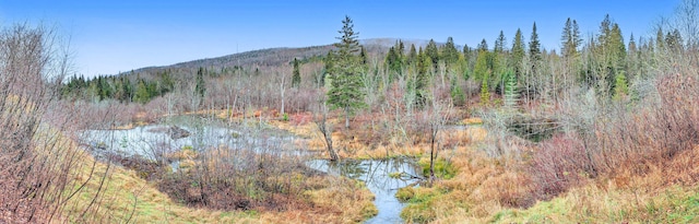 500 Violette Settlement Rd, Fort Kent, ME 04743 - photo 4