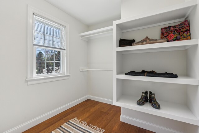 spacious closet featuring wood finished floors
