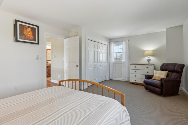 bedroom with baseboards, carpet flooring, and a closet