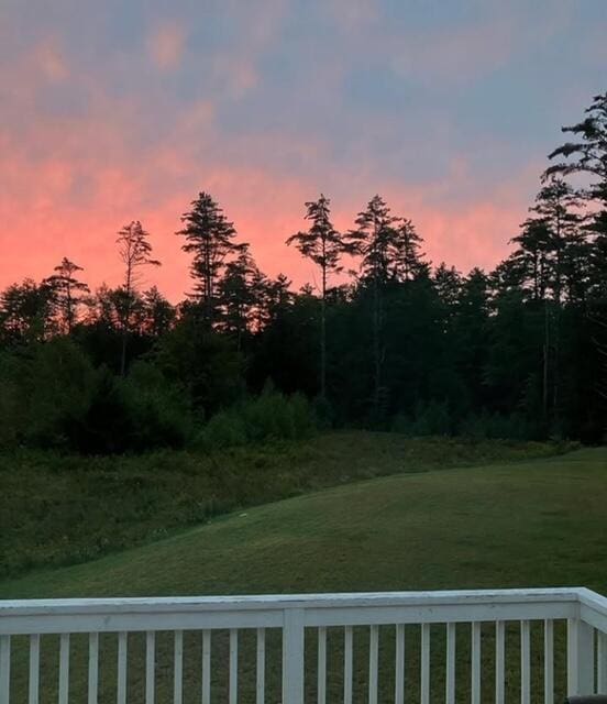 view of yard at dusk