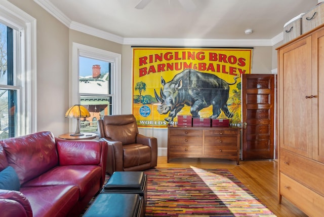 living area featuring hardwood / wood-style flooring, ceiling fan, and ornamental molding