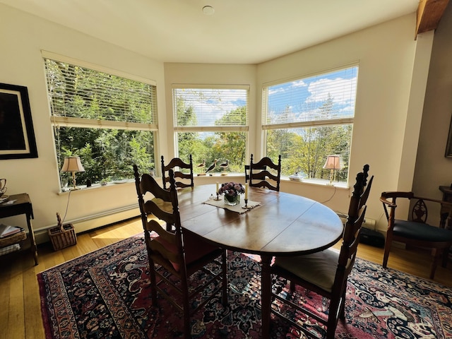 dining room featuring wood-type flooring