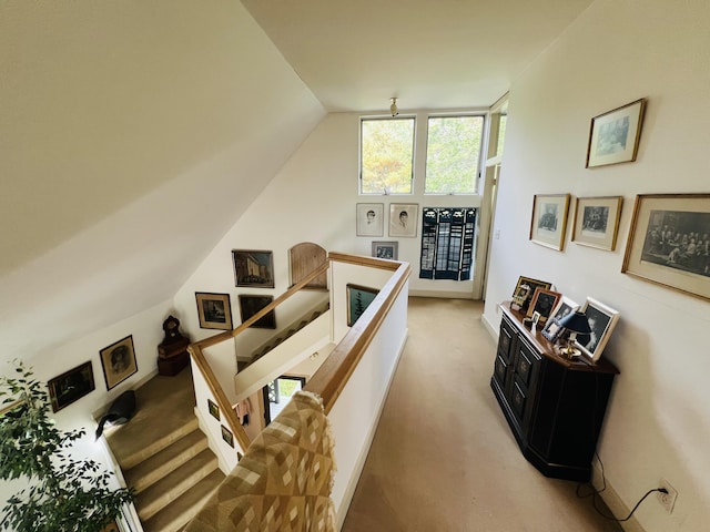 interior space with carpet flooring and vaulted ceiling