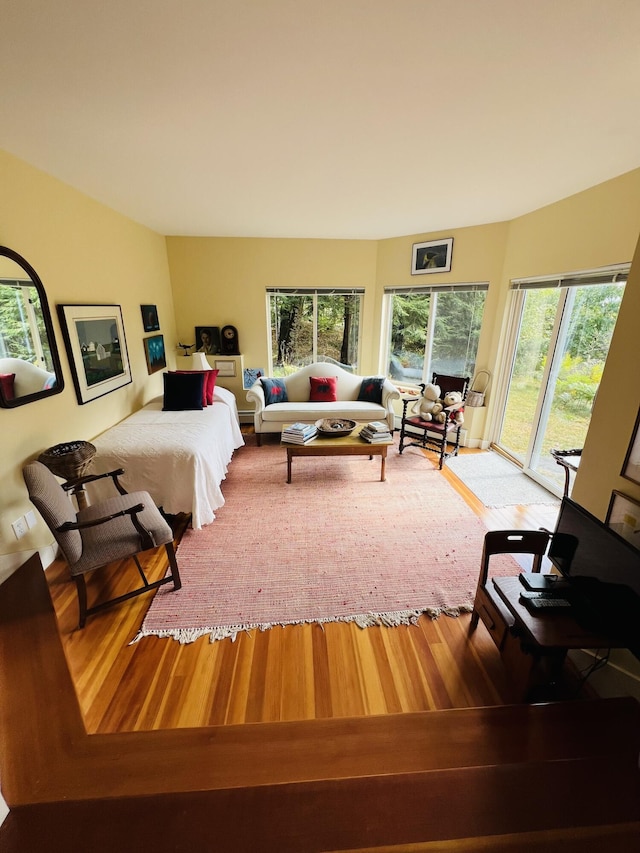 bedroom with access to exterior and wood-type flooring