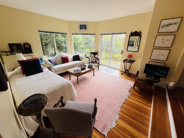 living room featuring light hardwood / wood-style flooring