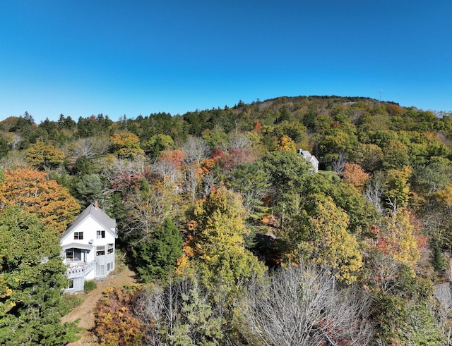 bird's eye view