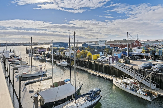 dock area with a water view