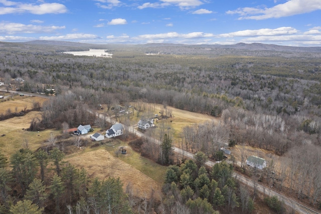 bird's eye view featuring a mountain view