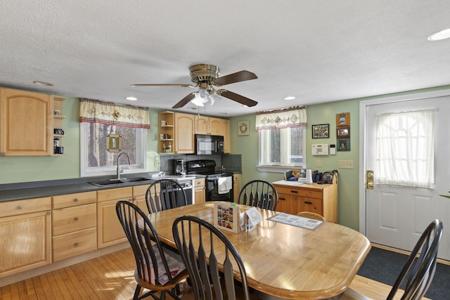 dining room with ceiling fan, sink, a textured ceiling, and light hardwood / wood-style flooring