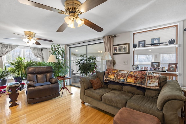 living room with ceiling fan, a textured ceiling, and light wood-type flooring