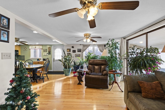 living room with light hardwood / wood-style flooring and a textured ceiling