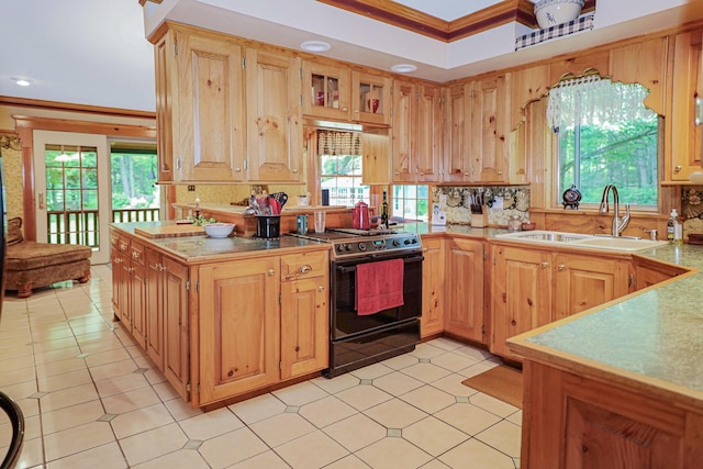 kitchen featuring tasteful backsplash, light countertops, crown molding, a sink, and range with electric stovetop