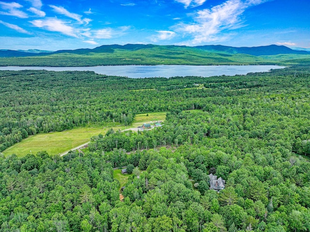 aerial view featuring a forest view and a water and mountain view