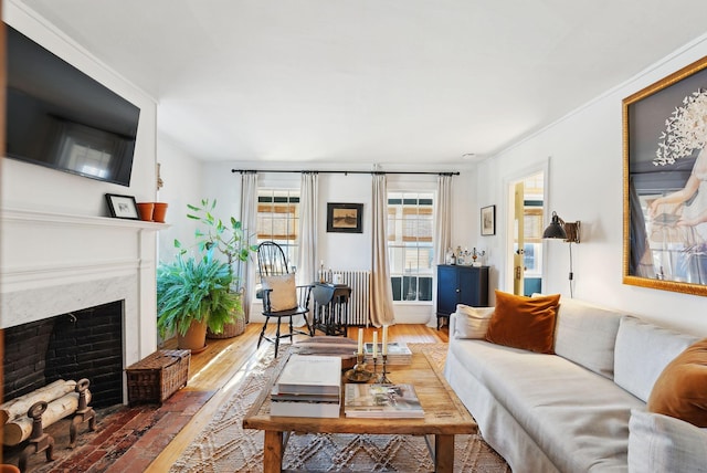 living room with wood-type flooring and a premium fireplace