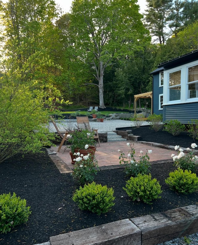 view of yard with a patio area