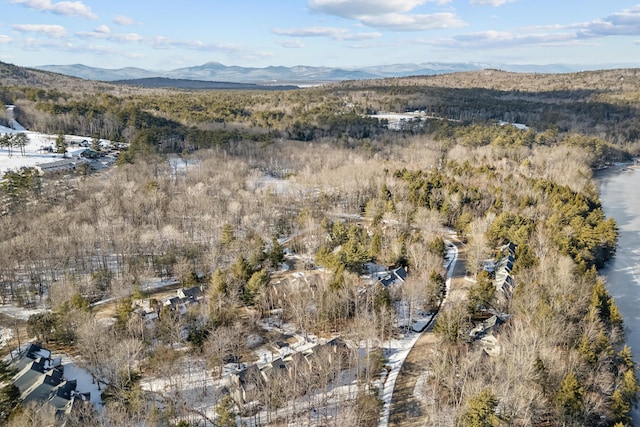 drone / aerial view with a mountain view