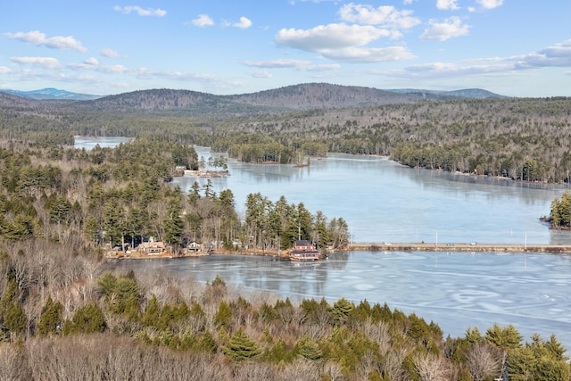 water view featuring a mountain view