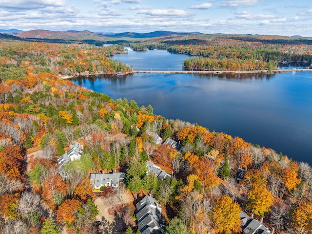 bird's eye view featuring a water and mountain view