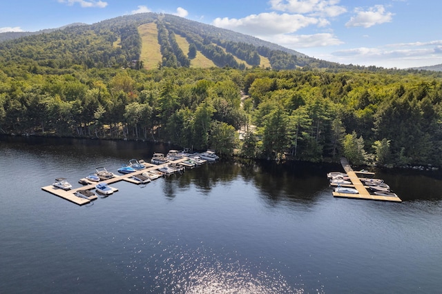 exterior space featuring a mountain view and a boat dock