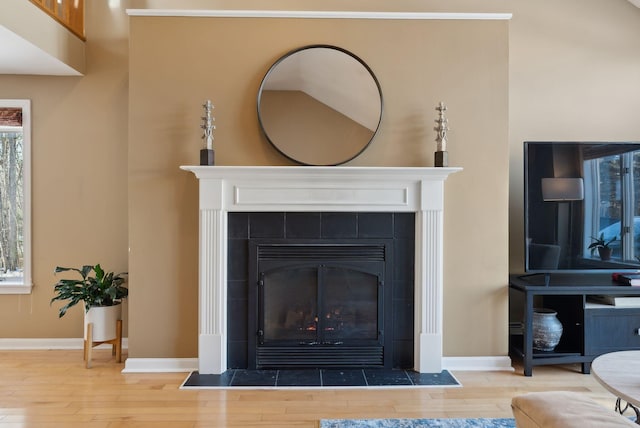 details with wood-type flooring and a fireplace