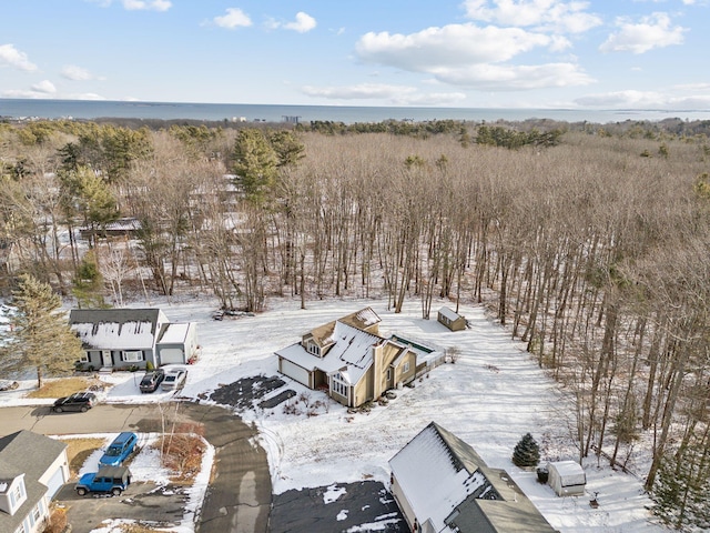 snowy aerial view with a water view