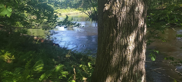 view of water feature