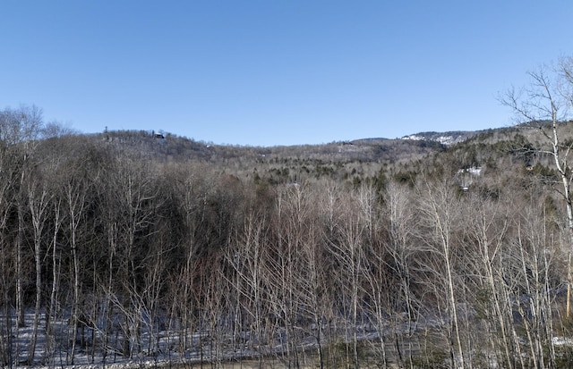 property view of mountains