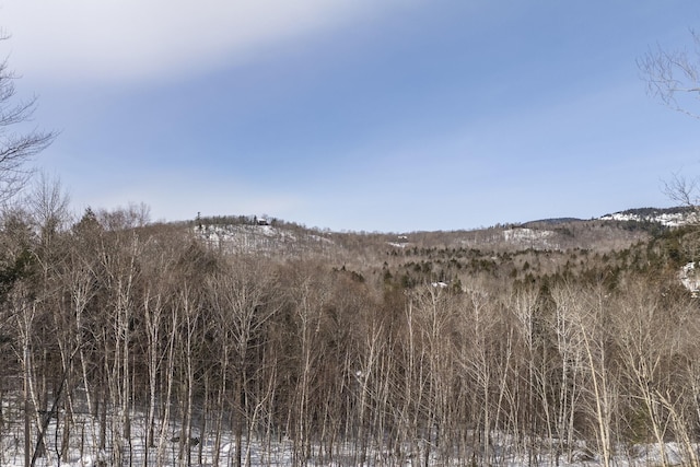 view of landscape