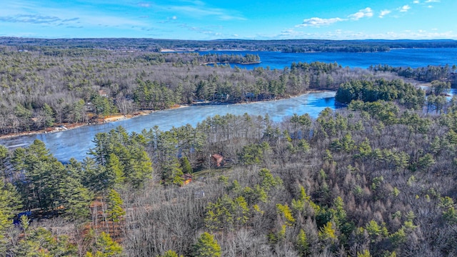 22 Jewett Rd, Raymond, ME 04071 - drone / aerial view with a water view and a view of trees