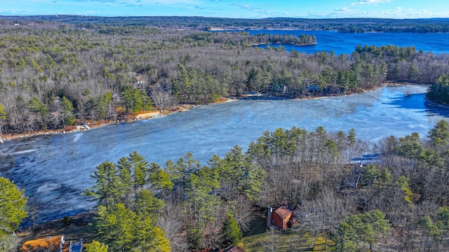 22 Jewett Rd, Raymond, ME 04071 - birds eye view of property with a wooded view and a water view