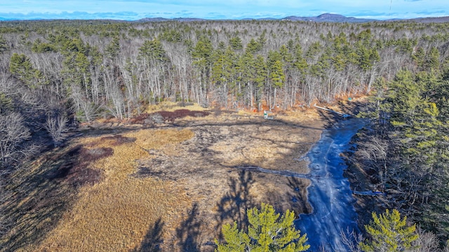 22 Jewett Rd, Raymond, ME 04071 - bird's eye view with a forest view and a mountain view