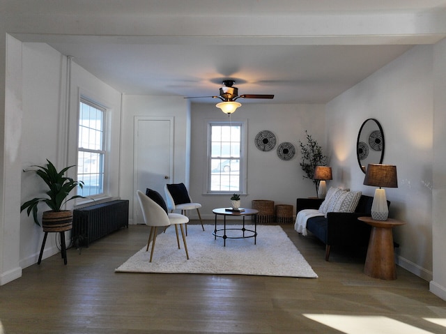 living room featuring radiator, ceiling fan, and wood-type flooring