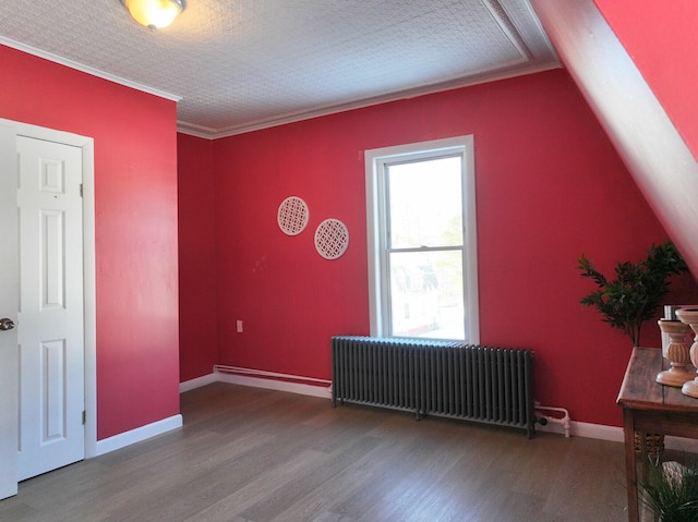 additional living space featuring radiator heating unit and hardwood / wood-style flooring