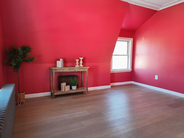 interior space featuring hardwood / wood-style floors, vaulted ceiling, and radiator heating unit