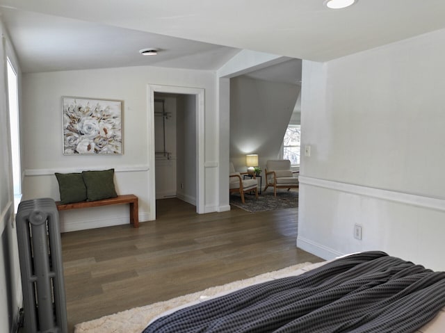 bedroom featuring dark hardwood / wood-style flooring, vaulted ceiling, and radiator