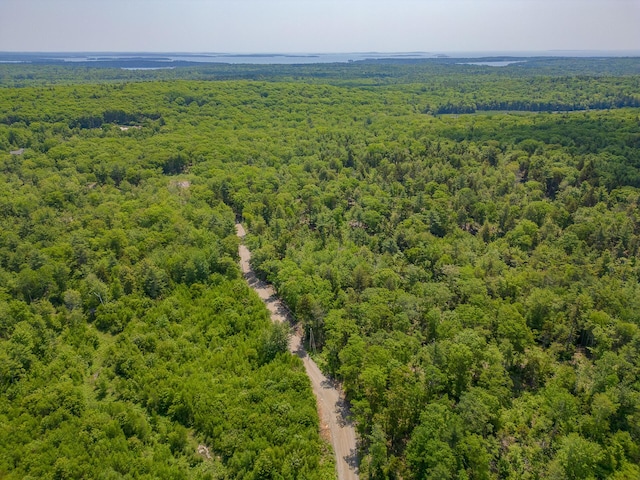 0 Sodom Rd, Bristol, ME 04539
