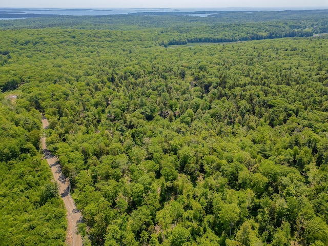 0 Sodom Rd, Bristol, ME 04539
