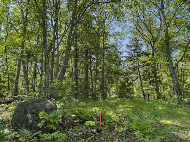 0 Sodom Rd, Bristol, ME 04539