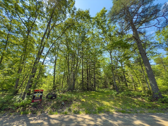 0 Sodom Rd, Bristol, ME 04539