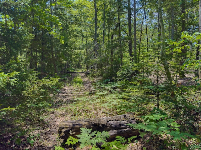 0 Sodom Rd, Bristol, ME 04539