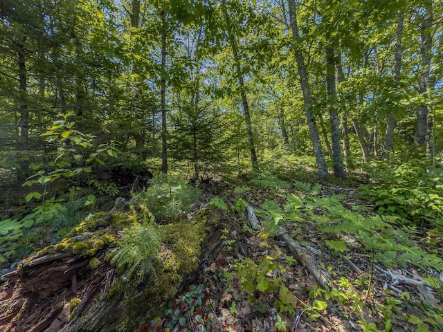 0 Sodom Rd, Bristol, ME 04539