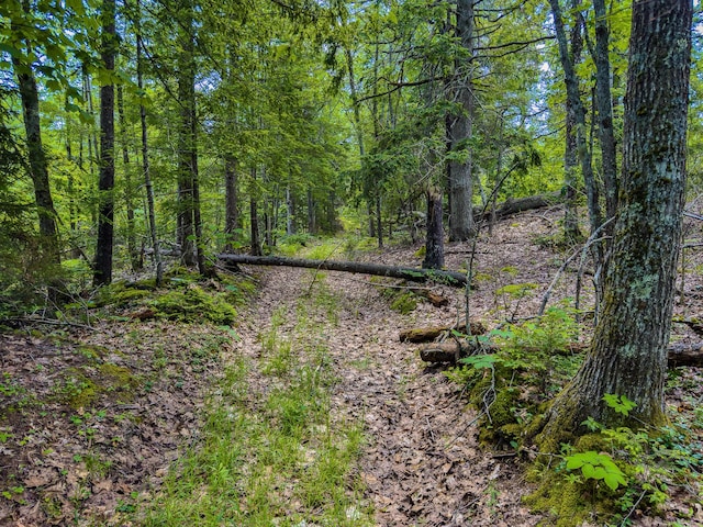 0 Sodom Rd, Bristol, ME 04539
