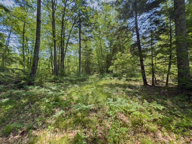 0 Sodom Rd, Bristol, ME 04539