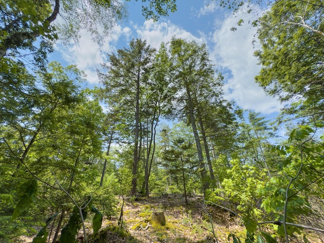 0 Sodom Rd, Bristol, ME 04539
