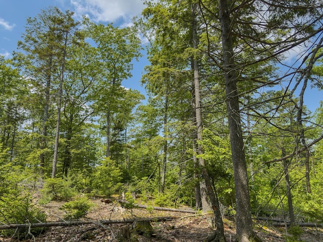 0 Sodom Rd, Bristol, ME 04539